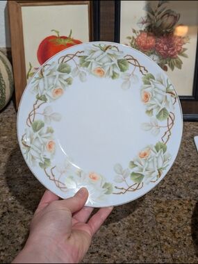 J&C Bavaria Porcelain Dinner Plate with Peach Rose Garland - White